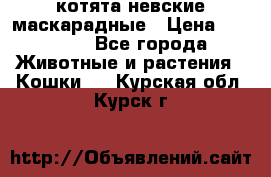 котята невские маскарадные › Цена ­ 18 000 - Все города Животные и растения » Кошки   . Курская обл.,Курск г.